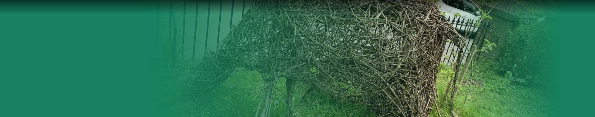 &nbsp;